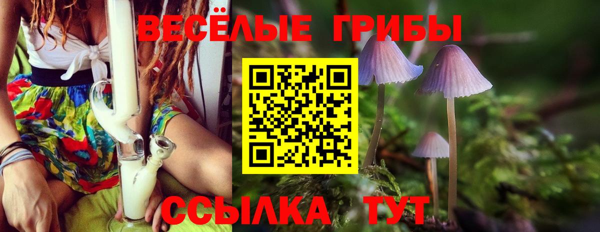 Псилоцибиновые грибы MAGIC MUSHROOMS  как найти закладки  Богородицк  Вход с VPN  Галлюциногенные грибы Psilocybine cubensis 